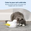 imagePetSafe Electronic Cat Toys  Automatic Cheese and PeekABird  Hide and Seek Teaser Toy  Interactive Bird and Mouse Hunt  Play While You are AwayPeekABird Toy