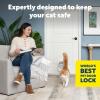 imagePetSafe ExteriorInterior Cat Door  Big Cat 4Way Locking Pet Door Flap for Large Cats  Tinted Privacy Door  Weatherproof Durable Door Frame  DIY Easy Install with Hardware Kit IncludedBig Cat Door 20