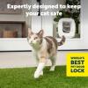 imagePetSafe ExteriorInterior Cat Door  Big Cat 4Way Locking Pet Door Flap for Large Cats  Tinted Privacy Door  Weatherproof Durable Door Frame  DIY Easy Install with Hardware Kit IncludedBig Cat Door 20 Glass Install Adaptor