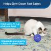 imagePetSafe Slimcat Feeder Ball  Interactive Game for Your Cat  Fill with Food and Treats  GreenBlue