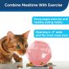 imagePetSafe Slimcat Feeder Ball  Interactive Game for Your Cat  Fill with Food and Treats  GreenPink