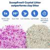imagePetSafe ScoopFree Crystal Cat Litter ampamp Refill Tray Fragrance Free 43 Lb Bag with Each Tray Pack of 61Pack