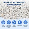 imagePetSafe ScoopFree NonClumping Natural Cat Litter No Chemicals Dyes or Fragrances 8 Lb BagLitter Bag 8 Lb