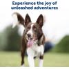 imagePetSafe 900 Yard Remote Training Collar Choose from Tone Vibration or 15 Levels of Static Stimulation Longest Range Option for Training Off Leash Dogs Waterproof and Durable Rechargeable1 Dog