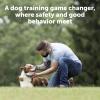 imagePetSafe 900 Yard Remote Training Collar Choose from Tone Vibration or 15 Levels of Static Stimulation Longest Range Option for Training Off Leash Dogs Waterproof and Durable Rechargeable1 Dog