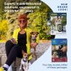 imagePetSafe 900 Yard Remote Training Collar Choose from Tone Vibration or 15 Levels of Static Stimulation Longest Range Option for Training Off Leash Dogs Waterproof and Durable Rechargeable1 Dog
