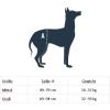 imagePetSafe CareLift Rear Support Harness  Lifting Aid with Handle  Great for Pet Mobility and Older Dogs  Comfortable Breathable Material  Easy to Adjust  Medium Careliftysm