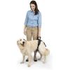 imagePetSafe CareLift Rear Support Harness  Lifting Aid with Handle and Shoulder Strap  Fits Waist Measuring 1931 inches Dog Weight 35lb70lb Medium BlackLarge Pack of 1