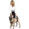 imagePetSafe CareLift Support Harness MediumFull Support