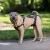 imagePetSafe CareLift Support Harness MediumFull Support