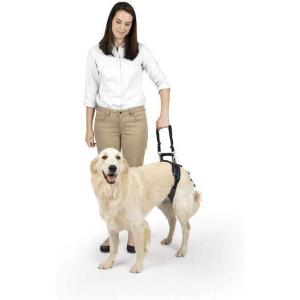 imagePetSafe CareLift Rear Support Harness  Lifting Aid with Handle and Shoulder Strap  Fits Waist Measuring 1931 inches Dog Weight 35lb70lb Medium BlackLarge Pack of 1