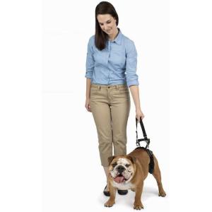 imagePetSafe CareLift Rear Support Harness  Lifting Aid with Handle and Shoulder Strap  Fits Waist Measuring 1931 inches Dog Weight 35lb70lb Medium BlackMedium Pack of 1