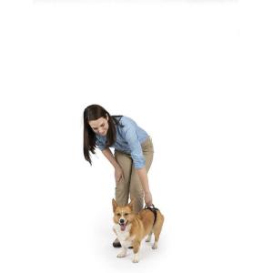 imagePetSafe CareLift Rear Support Harness  Lifting Aid with Handle and Shoulder Strap  Fits Waist Measuring 1931 inches Dog Weight 35lb70lb Medium BlackSmall Pack of 1