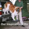 imagePet Ramp Step Helps Dogs Get in ampamp Out of Car Van SUV  Portable Lightweight Dog Ramp  Simply Slide into 2 inch Trailer Hitch Receiver  No Tools Needed  Essential Pet Gear  Made in USA