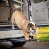imagePet Ramp Step Helps Dogs Get in ampamp Out of Car Van SUV  Portable Lightweight Dog Ramp  Simply Slide into 2 inch Trailer Hitch Receiver  No Tools Needed  Essential Pet Gear  Made in USA