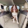 imagePetSafe Happy Ride Quilted Hammock Seat Cover  Waterproof ampamp Durable  Machine Washable  Fits Most Cars Trucks ampamp SUVs  Car Seat Protectors for Scratches ampamp Dog HairGreen