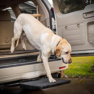 imagePet Ramp Step Helps Dogs Get in ampamp Out of Car Van SUV  Portable Lightweight Dog Ramp  Simply Slide into 2 inch Trailer Hitch Receiver  No Tools Needed  Essential Pet Gear  Made in USA