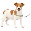 imagePetSafe Easy Walk NoPull Dog Harness  The Ultimate Harness to Help Stop Pulling  Take Control ampamp Teach Better Leash Manners  Helps Prevent Pets Pulling on Walks Large BlackSilverFawnBrown