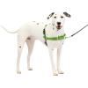 imagePetSafe Easy Walk NoPull Dog Harness  The Ultimate Harness to Help Stop Pulling  Take Control ampamp Teach Better Leash Manners  Helps Prevent Pets Pulling on Walks Large BlackSilverApple GreenGray