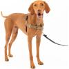 imagePetSafe Easy Walk NoPull Dog Harness  The Ultimate Harness to Help Stop Pulling  Take Control ampamp Teach Better Leash Manners  Helps Prevent Pets Pulling on Walks Large BlackSilverFawnBrown