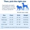 imagePetSafe Easy Walk NoPull Dog Harness  The Ultimate Harness to Help Stop Pulling  Take Control ampamp Teach Better Leash Manners  Helps Prevent Pets Pulling on Walks Large BlackSilverTealGray