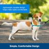 imagePetSafe Easy Walk NoPull Dog Harness  The Ultimate Harness to Help Stop Pulling  Take Control ampamp Teach Better Leash Manners  Helps Prevent Pets Pulling on Walks Large BlackSilverRoyal BlueNavy Blue