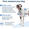 imagePetSafe Easy Walk NoPull Dog Harness  The Ultimate Harness to Help Stop Pulling  Take Control ampamp Teach Better Leash Manners  Helps Prevent Pets Pulling on Walks Large BlackSilverBlackSilver