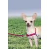 imagePetSafe Easy Walk NoPull Dog Harness  The Ultimate Harness to Help Stop Pulling  Take Control ampamp Teach Better Leash Manners  Helps Prevent Pets Pulling on Walks Large BlackSilverRaspberryGray