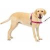 imagePetSafe Easy Walk NoPull Dog Harness  The Ultimate Harness to Help Stop Pulling  Take Control ampamp Teach Better Leash Manners  Helps Prevent Pets Pulling on Walks Large BlackSilverRaspberryGray