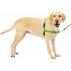 imagePetSafe Easy Walk NoPull Dog Harness  The Ultimate Harness to Help Stop Pulling  Take Control ampamp Teach Better Leash Manners  Helps Prevent Pets Pulling on Walks Large BlackSilverApple GreenGray