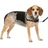 imagePetSafe Easy Walk NoPull Dog Harness  The Ultimate Harness to Help Stop Pulling  Take Control ampamp Teach Better Leash Manners  Helps Prevent Pets Pulling on Walks Large BlackSilverBlackSilver