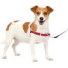 imagePetSafe Easy Walk NoPull Dog Harness  The Ultimate Harness to Help Stop Pulling  Take Control ampamp Teach Better Leash Manners  Helps Prevent Pets Pulling on Walks Large BlackSilverRedBlack
