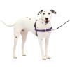 imagePetSafe Easy Walk NoPull Dog Harness  The Ultimate Harness to Help Stop Pulling  Take Control ampamp Teach Better Leash Manners  Helps Prevent Pets Pulling on Walks Large BlackSilverDeep PurpleBlack