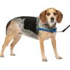 imagePetSafe Easy Walk NoPull Dog Harness  The Ultimate Harness to Help Stop Pulling  Take Control ampamp Teach Better Leash Manners  Helps Prevent Pets Pulling on Walks Large BlackSilverRoyal BlueNavy Blue