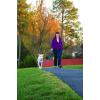 imagePetSafe Easy Walk NoPull Dog Harness  The Ultimate Harness to Help Stop Pulling  Take Control ampamp Teach Better Leash Manners  Helps Prevent Pets Pulling on Walks Large BlackSilverDeep PurpleBlack