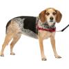 imagePetSafe Easy Walk NoPull Dog Harness  The Ultimate Harness to Help Stop Pulling  Take Control ampamp Teach Better Leash Manners  Helps Prevent Pets Pulling on Walks Large BlackSilverRedBlack