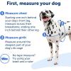 imagePetSafe Easy Walk NoPull Dog Harness  The Ultimate Harness to Help Stop Pulling  Take Control ampamp Teach Better Leash Manners  Helps Prevent Pets Pulling on Walks Large BlackSilverRoyal BlueNavy Blue