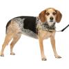 imagePetSafe Easy Walk NoPull Dog Harness  The Ultimate Harness to Help Stop Pulling  Take Control ampamp Teach Better Leash Manners  Helps Prevent Pets Pulling on Walks Large BlackSilverFawnBrown