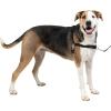 imagePetSafe Easy Walk NoPull Dog Harness  The Ultimate Harness to Help Stop Pulling  Take Control ampamp Teach Better Leash Manners  Helps Prevent Pets Pulling on Walks Large BlackSilverBlackSilver