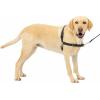 imagePetSafe Easy Walk NoPull Dog Harness  The Ultimate Harness to Help Stop Pulling  Take Control ampamp Teach Better Leash Manners  Helps Prevent Pets Pulling on Walks Large BlackSilverBlackSilver