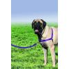 imagePetSafe Easy Walk NoPull Dog Harness  The Ultimate Harness to Help Stop Pulling  Take Control ampamp Teach Better Leash Manners  Helps Prevent Pets Pulling on Walks Large BlackSilverDeep PurpleBlack