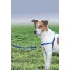 imagePetSafe Easy Walk NoPull Dog Harness  The Ultimate Harness to Help Stop Pulling  Take Control ampamp Teach Better Leash Manners  Helps Prevent Pets Pulling on Walks Large BlackSilverRoyal BlueNavy Blue