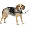 imagePetSafe Easy Walk NoPull Dog Harness  The Ultimate Harness to Help Stop Pulling  Take Control ampamp Teach Better Leash Manners  Helps Prevent Pets Pulling on Walks Large BlackSilverCharcoalBlack