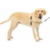 imagePetSafe Easy Walk NoPull Dog Harness  The Ultimate Harness to Help Stop Pulling  Take Control ampamp Teach Better Leash Manners  Helps Prevent Pets Pulling on Walks Large BlackSilverFawnBrown