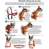 imagePetSafe Easy Walk NoPull Dog Harness  The Ultimate Harness to Help Stop Pulling  Take Control ampamp Teach Better Leash Manners  Helps Prevent Pets Pulling on Walks Large BlackSilverDeep PurpleBlack