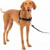 imagePetSafe Easy Walk NoPull Dog Harness  The Ultimate Harness to Help Stop Pulling  Take Control ampamp Teach Better Leash Manners  Helps Prevent Pets Pulling on Walks Large BlackSilverBlackSilver