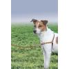 imagePetSafe Easy Walk NoPull Dog Harness  The Ultimate Harness to Help Stop Pulling  Take Control ampamp Teach Better Leash Manners  Helps Prevent Pets Pulling on Walks Large BlackSilverFawnBrown