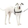 imagePetSafe Easy Walk NoPull Dog Harness  The Ultimate Harness to Help Stop Pulling  Take Control ampamp Teach Better Leash Manners  Helps Prevent Pets Pulling on Walks Large BlackSilverCharcoalBlack