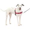 imagePetSafe Easy Walk NoPull Dog Harness  The Ultimate Harness to Help Stop Pulling  Take Control ampamp Teach Better Leash Manners  Helps Prevent Pets Pulling on Walks Large BlackSilverRedBlack