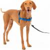 imagePetSafe Easy Walk NoPull Dog Harness  The Ultimate Harness to Help Stop Pulling  Take Control ampamp Teach Better Leash Manners  Helps Prevent Pets Pulling on Walks Large BlackSilverRoyal BlueNavy Blue